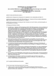 thumbnail of Maßnahmen gegen schwere Menschenrechtsverletzungen und -verstöße
